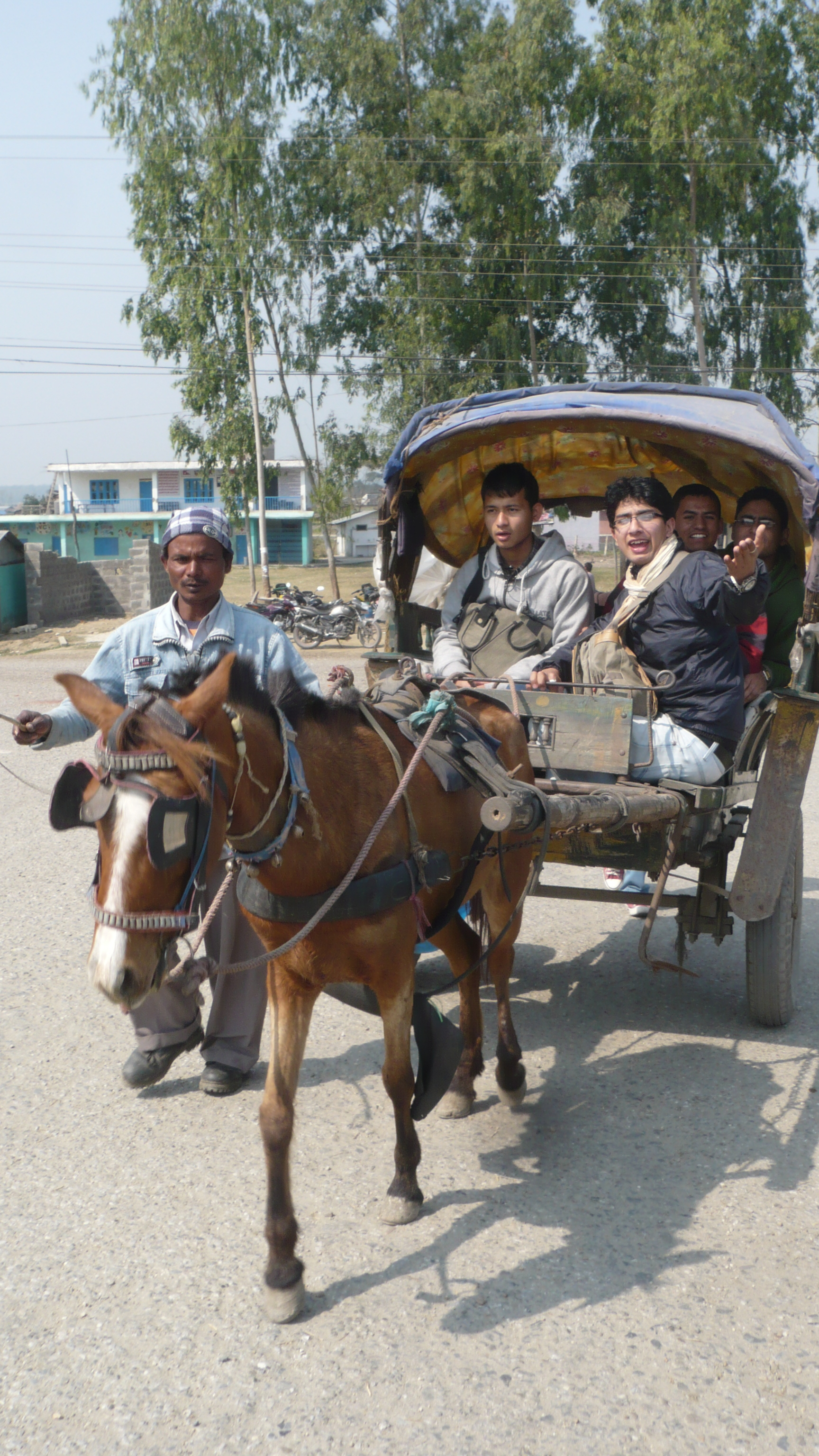 Excursion of Sauraha(Chitwan)